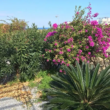 Stunning Sea View * Agios Georgios (Famagusta)